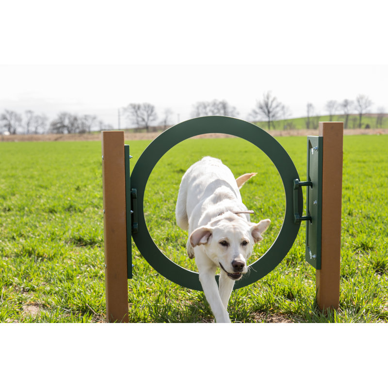 Bark Park Recycled Adjustable Ring Jump