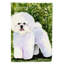 Drapeau de jardin 2 côtés bichon bichon frisé