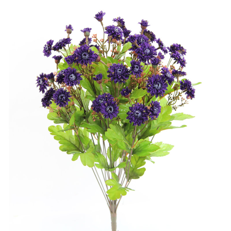Douille mum de fleurs, Mauve