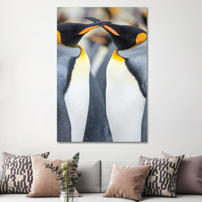 King Penguin, Falkland Islands. by Martin Zwick - Wrapped Canvas Print
