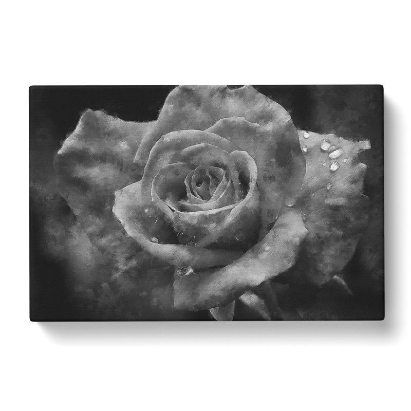 White Rose Flower - Wrapped Canvas, 35cm H x 50cm W x 3cm D
