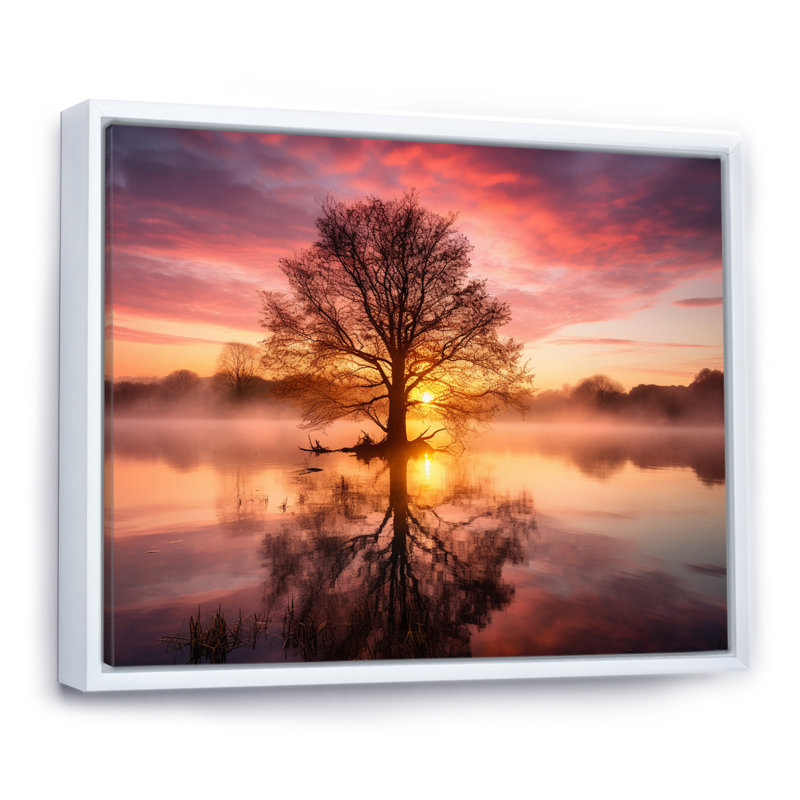 Arbre majestueux au coucher du soleil sur le lac de montagne I - impression, Cadre flottant blanc, H 24 po x l 32 po x P 1 po