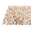 Tapis multicolore Nivens