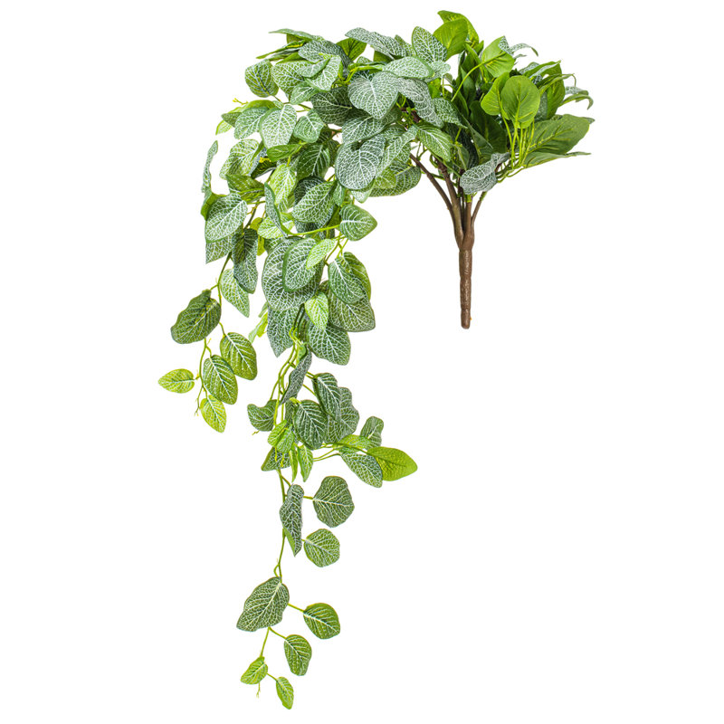  Fittonia artificiel vert 33 po