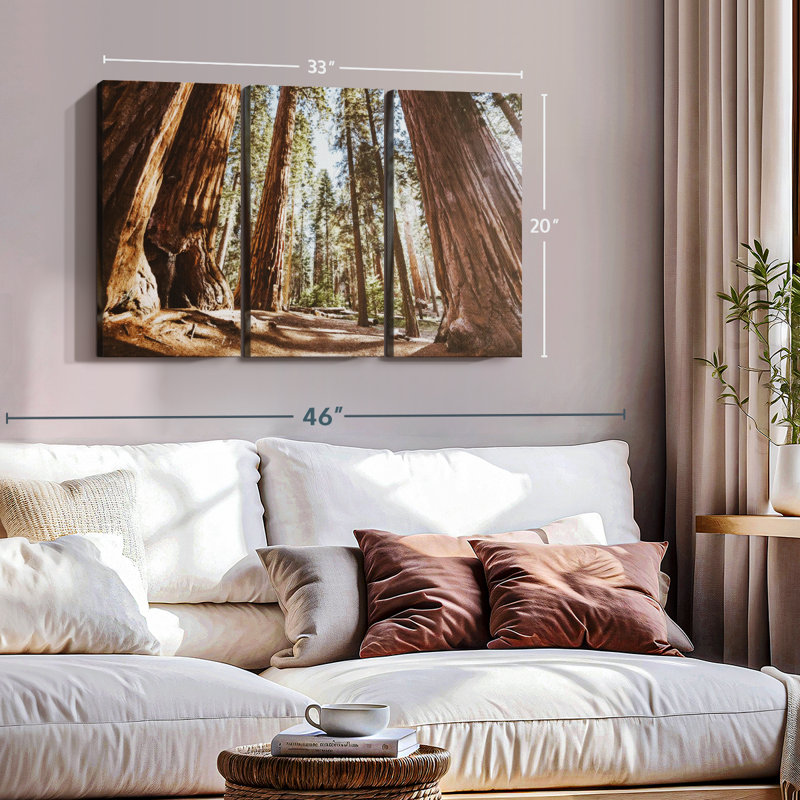 " Summer In Sequoia Park ", 20" H x 33" W x 1.25" D