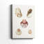 Coquillages pastel en coquille Knorr-108829778