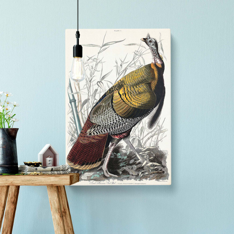 Wild Turkey by John Audubon - Wrapped Canvas, 76cm H x 50cm W x 3cm D