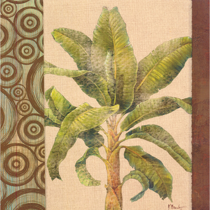 Parlor Palm I, H 36 po x l 36 po