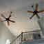 Customer photo 3 of 6