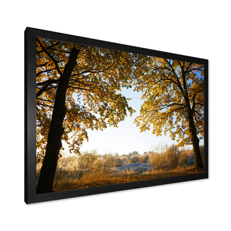 «Sunrise On Autumn Oak Grove», œuvre d'art traditionnelle sur toile, Toile avec cadre noir, H 8 po x l 12 po x P 1 po