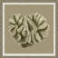 Graphic Coral Collection 4' Framed Graphic Art Print on Glass