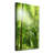 The Rainforest - Wrapped Canvas Print