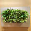 Metal Planter-393750023-319983643