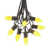 Jaune