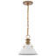 Luminaire suspendu conique à 1 lumière Rodarte-1773667695-1773667681