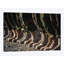 Reproduction de photo sur toile-32113958-72033657-72033658