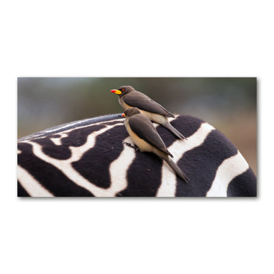 Birds And Zebra - Wrapped Canvas Print