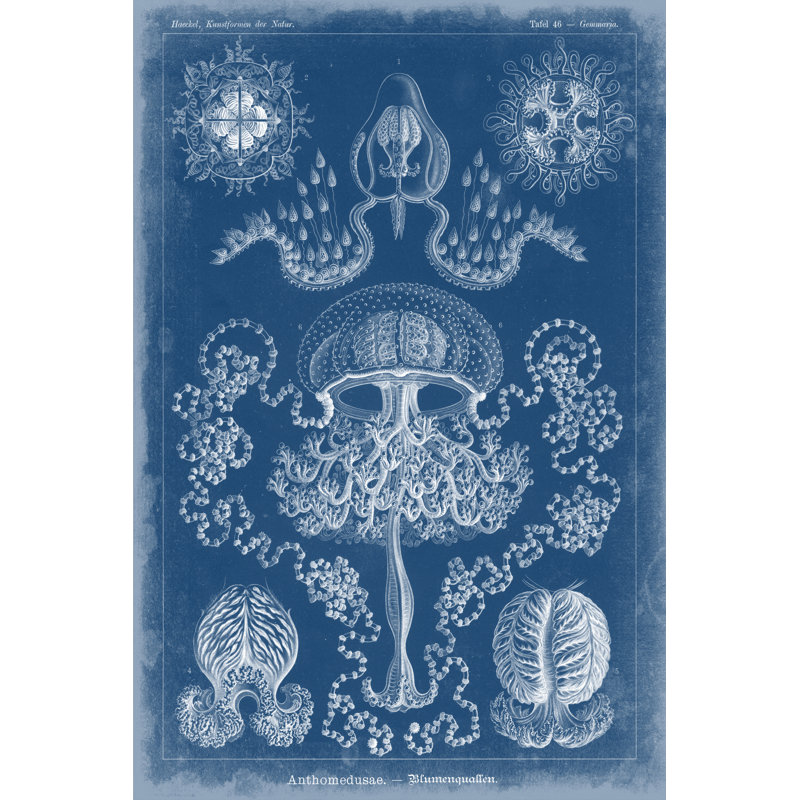 Marine Blueprint IV - Wrapped Canvas Print, 30cm H x 20cm W x 3.8cm D