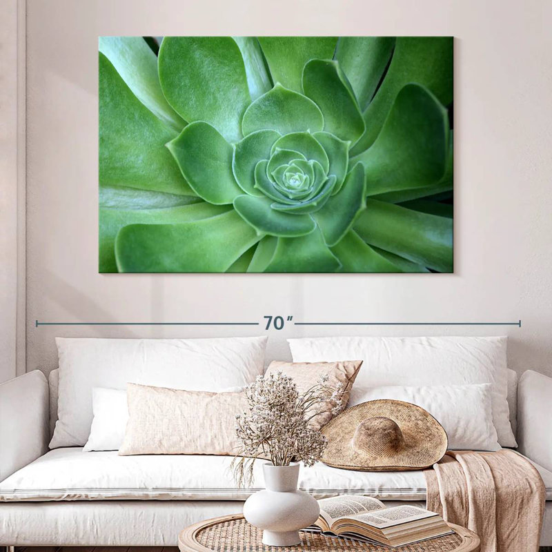 Single Succulant