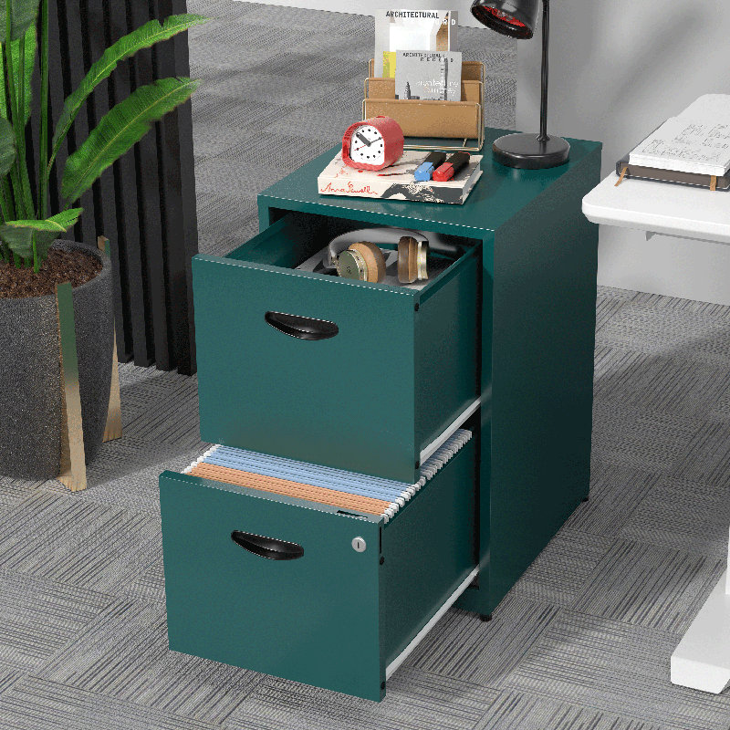  2 Drawer File Cabinet with Lock, Green Metal Filing Cabinets,Vertical Locking File Cabinet Fit Hanging Files, Letter,File Box and A4 Documents
