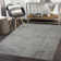 Indoor Rug