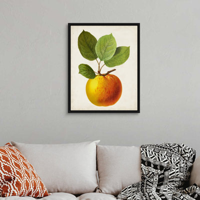 Antique Fruit I - reproduction d'art sur toile
