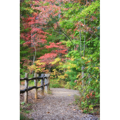 " Hiking Trail "