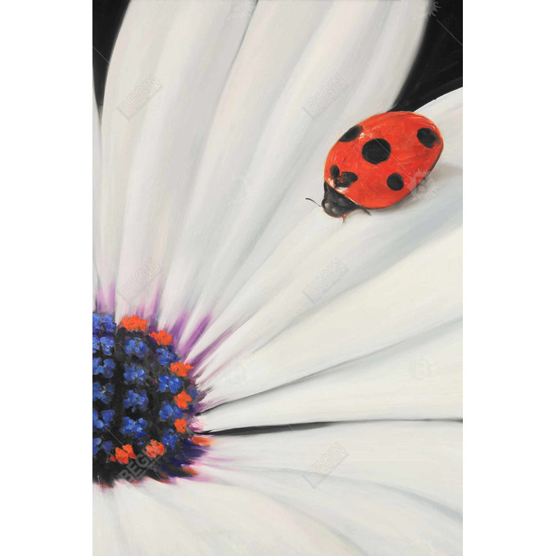 "Marguerite blanche et coccinelle" sur toile