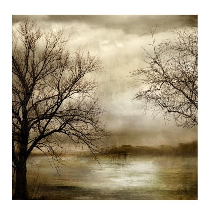 Fall Views II Print by Austin Beiv, 30" H x 30" W x 1.5" D, Outdoor