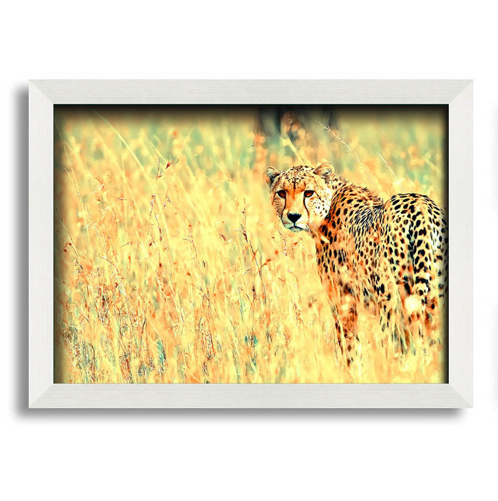 Beautiful Cheetah - Einzelner Bilderrahmen Kunstdrucke