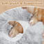 Lit pour chien humain pour adulte avec grand lit Gain-1739717172