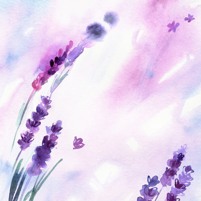 Hand Painted Lavender Flowers by Elena Efremova - Wrapped Canvas Painting