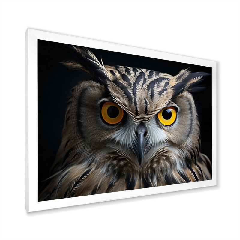 Chouette, reproduction d'art sur toile, portrait d'un oiseau blanc noir, H 30 po x l 40 po x P 1,5 po, Cadre photo blanc