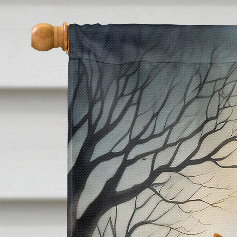 Drapeau de maison d'Halloween en polyester à double face H 40 po x l 28 po