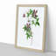 Alpine Clematis Flowers by Pierre-Joseph Redoute - Single Picture Frame Painting-55545086-55545088