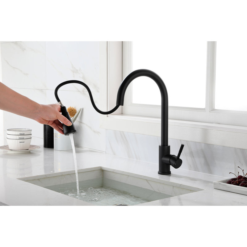 Robinet de cuisine avec douchette rétractable, apparence en acier inoxydable noir mat, buse rotative à 360 °, poignée simple pour le contrôle et la gestion de l'eau, ajustement efficace de la température d'alimentation