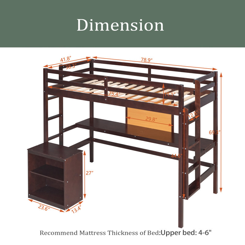 Lit mezzanine simple avec tablettes Gwenan par Harriet Bee, Espresso