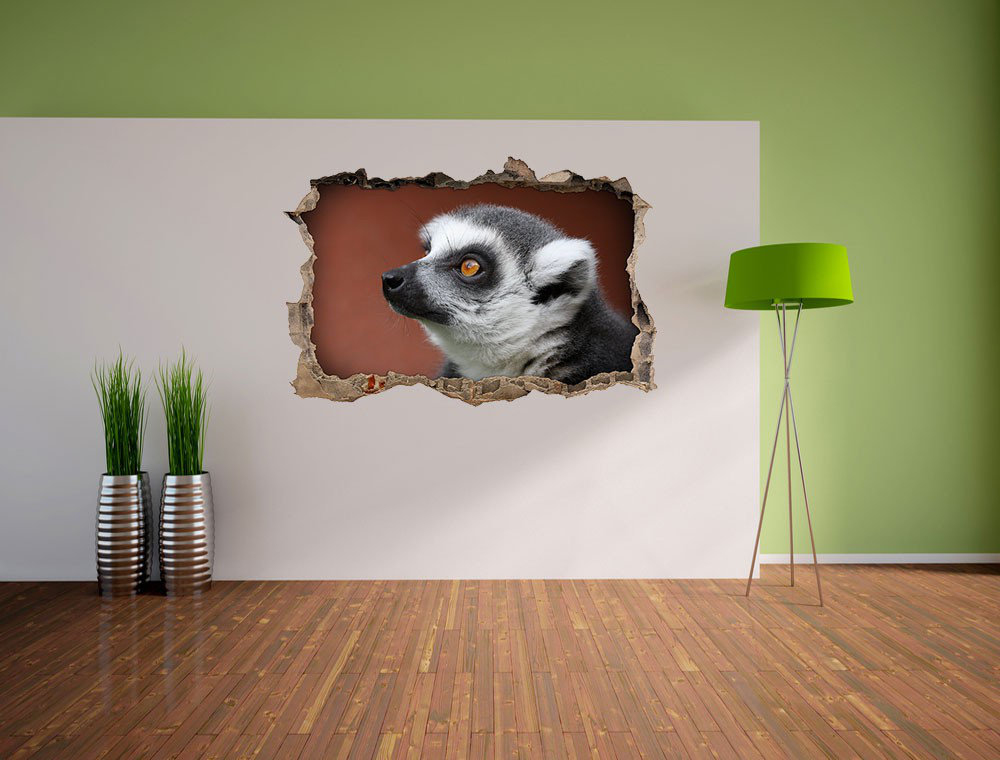 Neugieriger Ringelschwanz Lemur Wandaufkleber