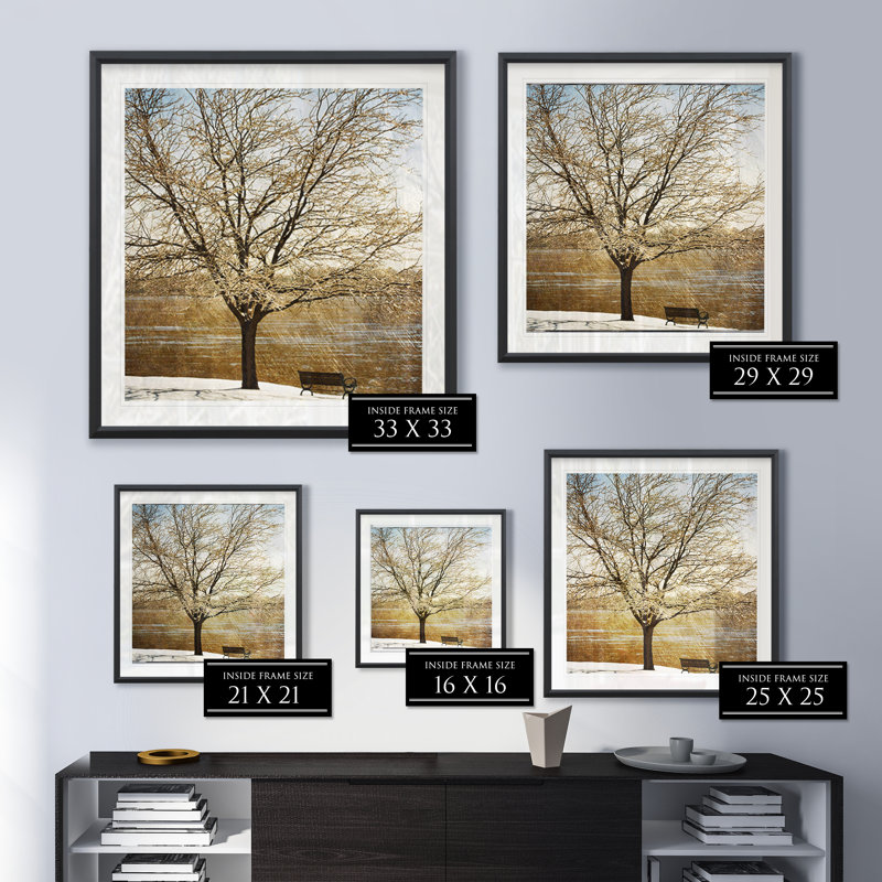 «Lonely Tree in Sun», reproduction de cadre photo sur papier, H 30,5 po x l 30,5 po x P 1,5 po