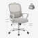 Drusilla Ergonomic Mesh Task Chair
