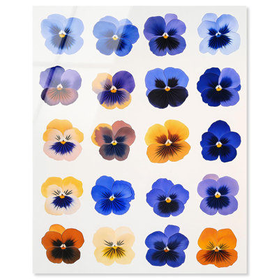 «Pansy Patch Grid III», reproduction d'art acrylique sur toile par Art Remedy