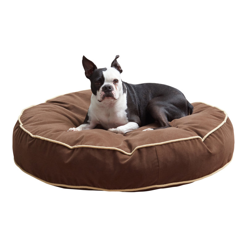 Lit pour chien Buckhead, Cacao, Moyen (l 36 po x P 36 po x H 6 po)