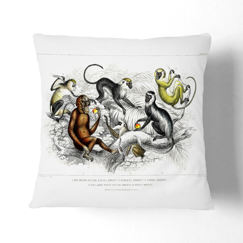 Square Throw Cushion, 40cm H x 40cm W x 15cm D