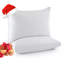 Ensemble de 2 coussins décoratifs Goose Feather-2037027827