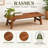Catelynn Solid Wood 1 Tier Plant Stand-1581411415
