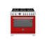 Professional Series Dual-Fuel Range 36" - 6 Brass Burners + Cast-Iron Griddle - Self-Clean Oven-1288557912