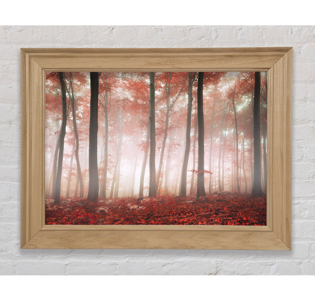 Red Misty Woods - Einzelner Bilderrahmen Kunstdrucke