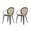Ensemble de 2 chaises de salle à manger de style moderne Mid-Century avec pieds en bois massif Dionisio-117456678