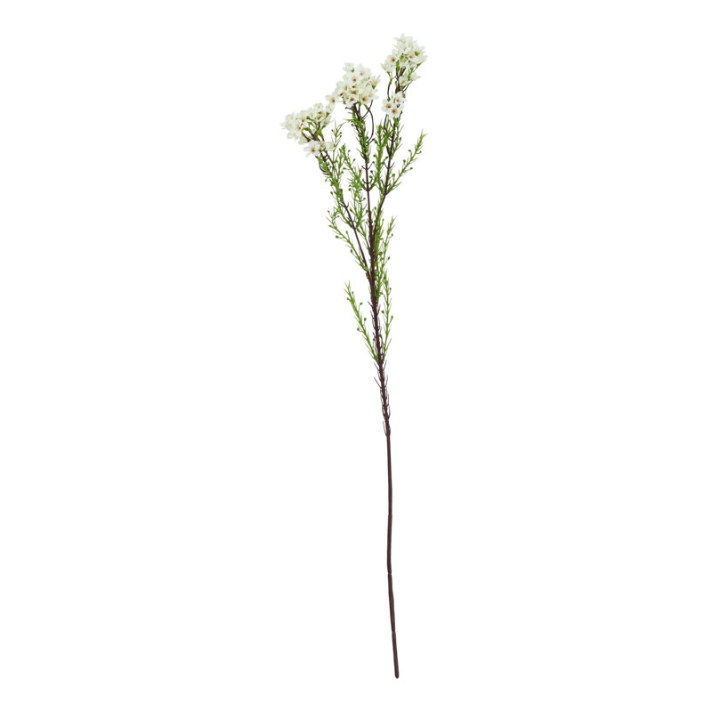 Arrangement