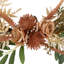 24 couronne